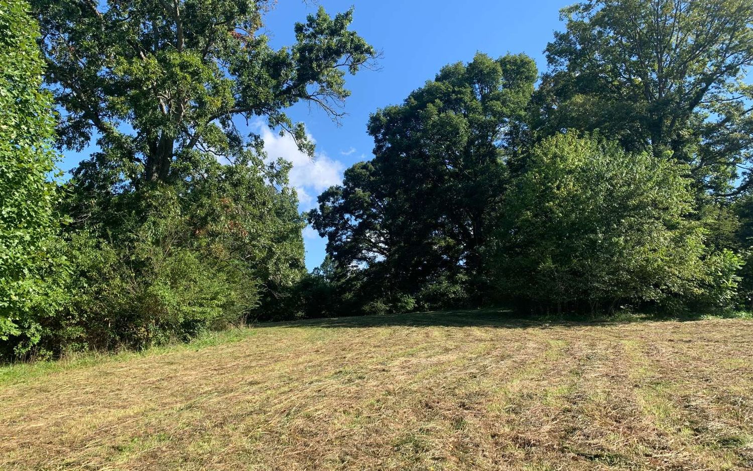 69 Hwy 64 W, Hayesville, NC 28904